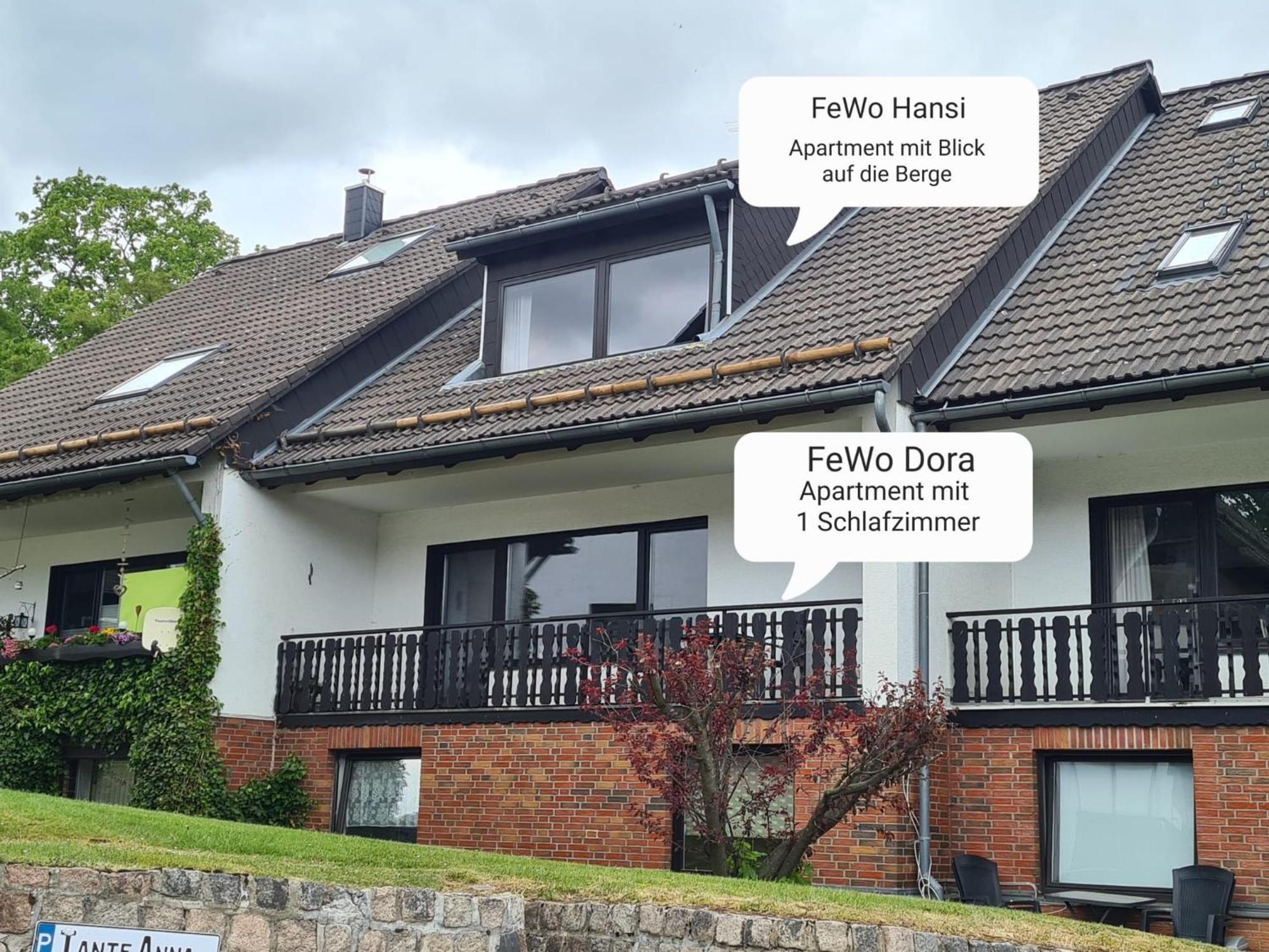 Ferienwohnungen Dora Und Hansi Braunlage Exterior photo